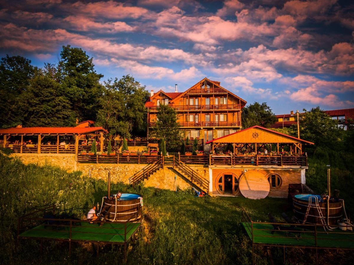 Pensiunea La Maria Lu' Sandoiu Hotel Poenari Ngoại thất bức ảnh