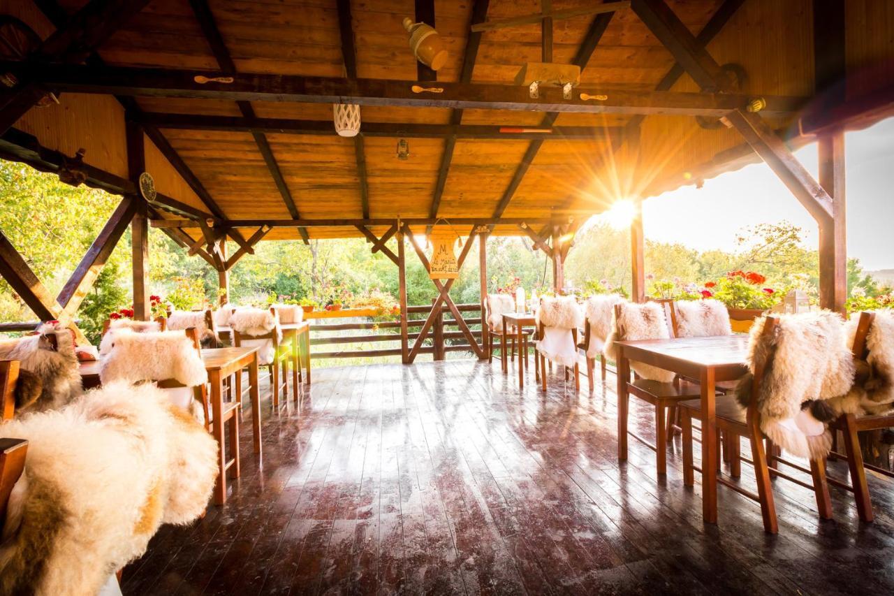 Pensiunea La Maria Lu' Sandoiu Hotel Poenari Ngoại thất bức ảnh